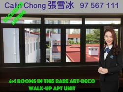 Tiong Bahru Estate (D3), Apartment #165271162